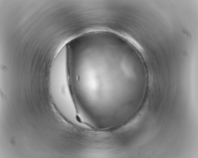 X0000090890953200708101400