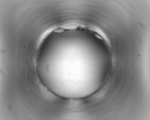 X0000090890954200708101400