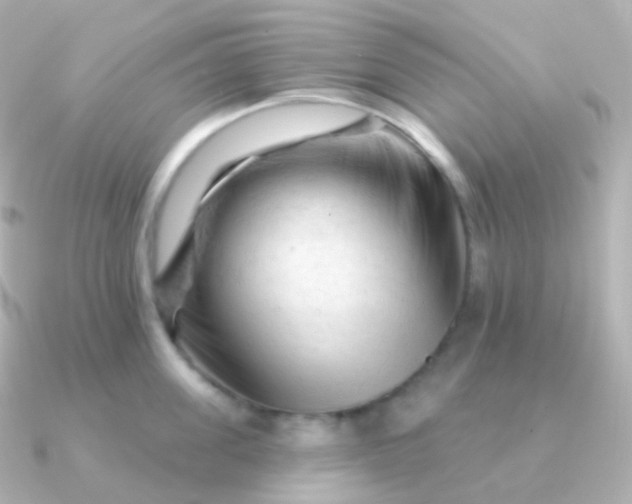 X0000090890955200708101400