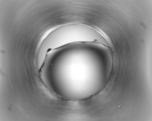 X0000090890956200708101400