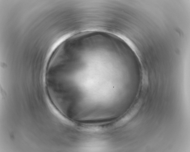 X0000090890957200708101400