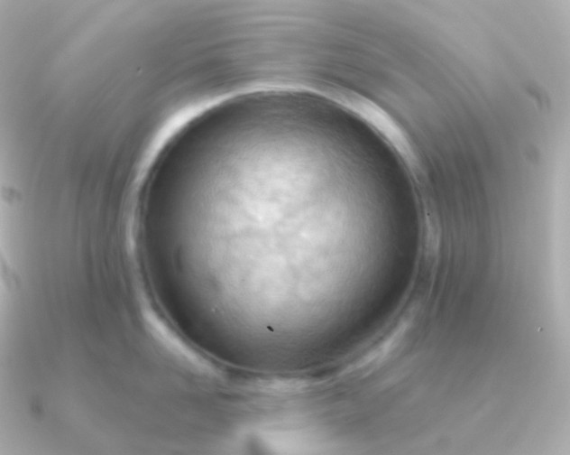 X0000090890958200708101400