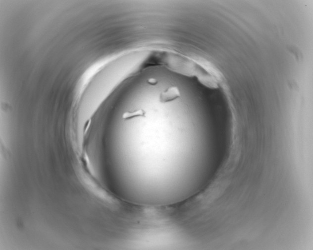 X0000090890960200708101400