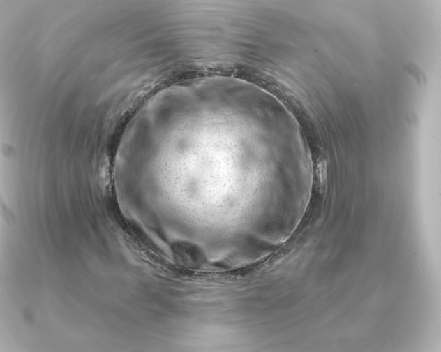 X0000090890963200708101359