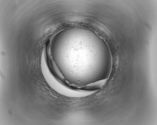 X0000090890965200708101359