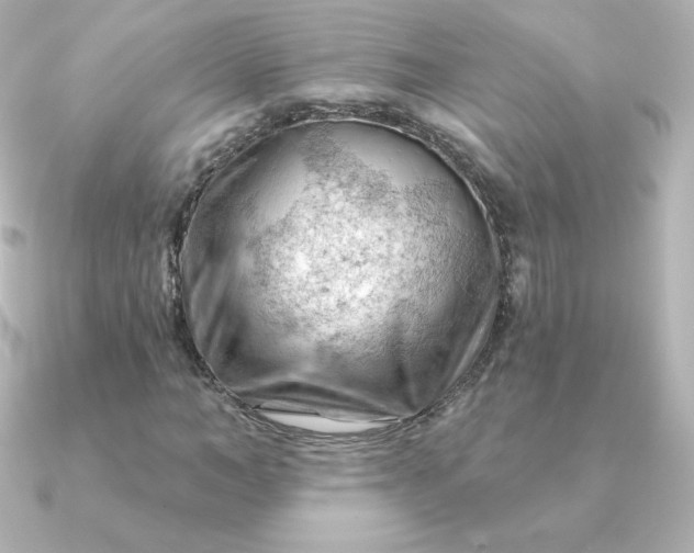 X0000090890966200708101359