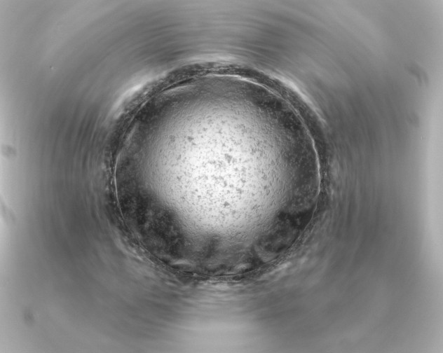 X0000090890967200708101359