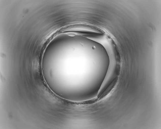 X0000090890969200708101359