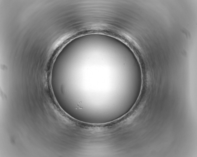 X0000090890970200708101359