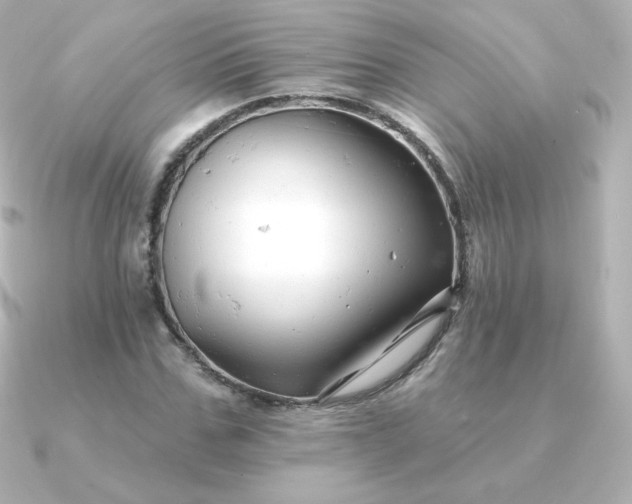 X0000090890971200708101359