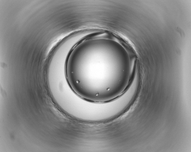 X0000090890973200708101359