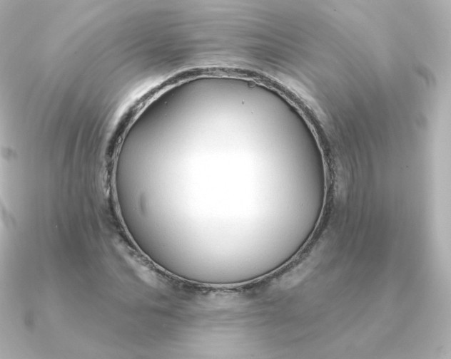 X0000090890974200708101359