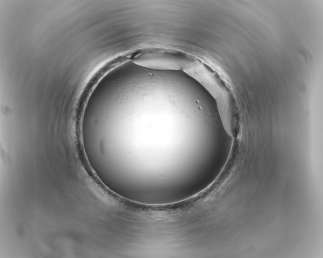 X0000090890976200708101359