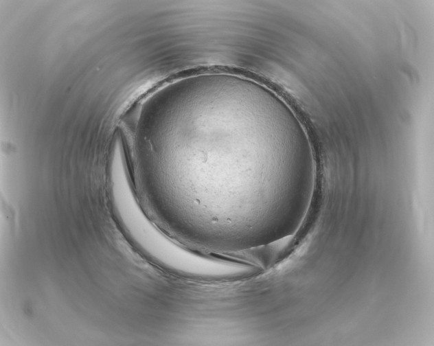 X0000090890977200708101359