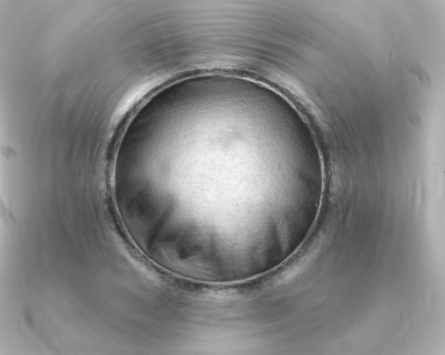 X0000090890978200708101359