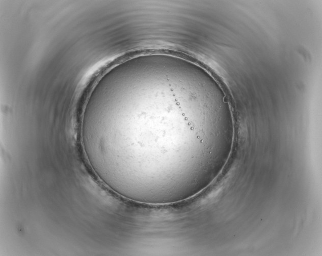 X0000090890979200708101359