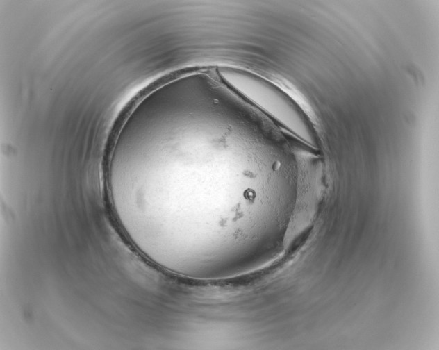 X0000090890980200708101359