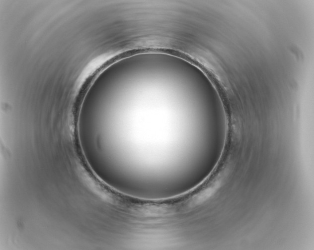 X0000090890981200708101359