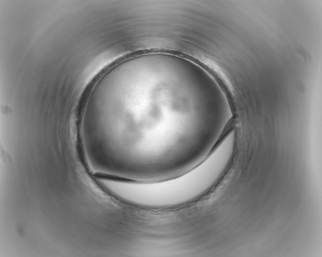 X0000090890983200708101359