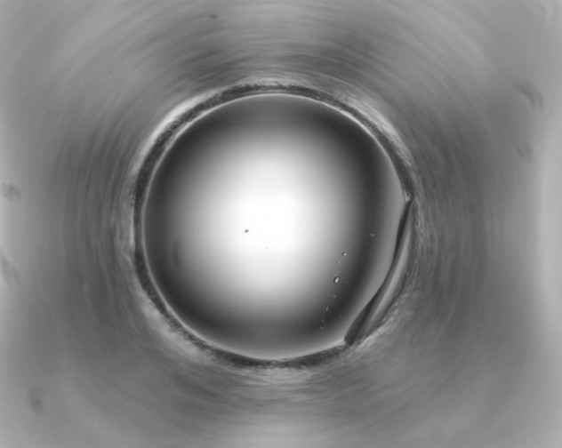 X0000090890984200708101359