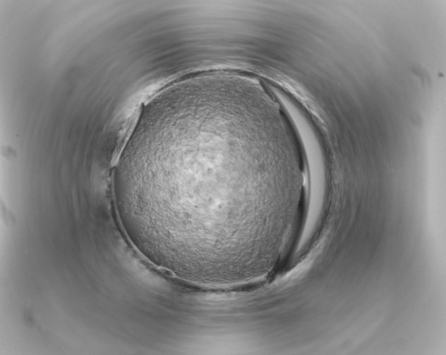 X0000090890985200708101359