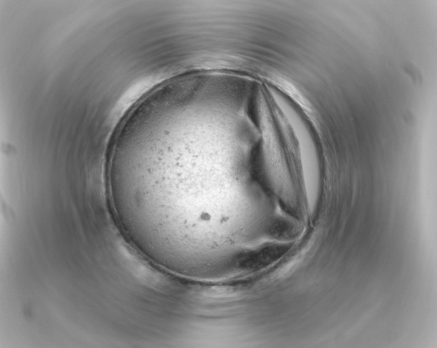 X0000090890986200708101359