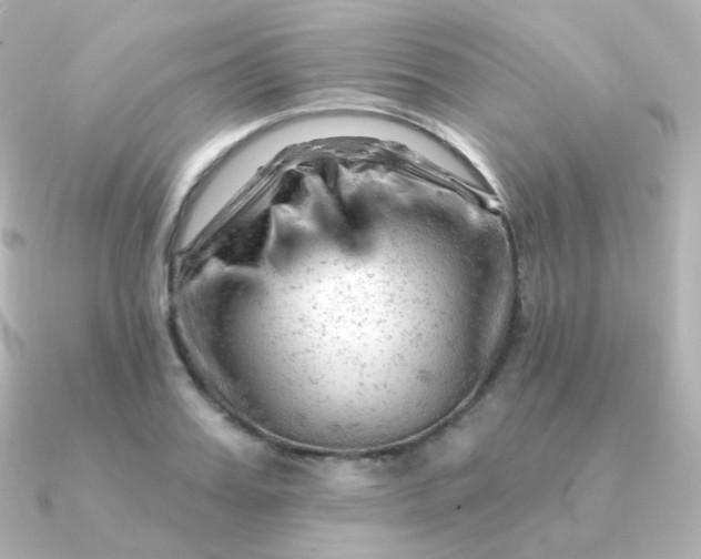 X0000090890987200708101359