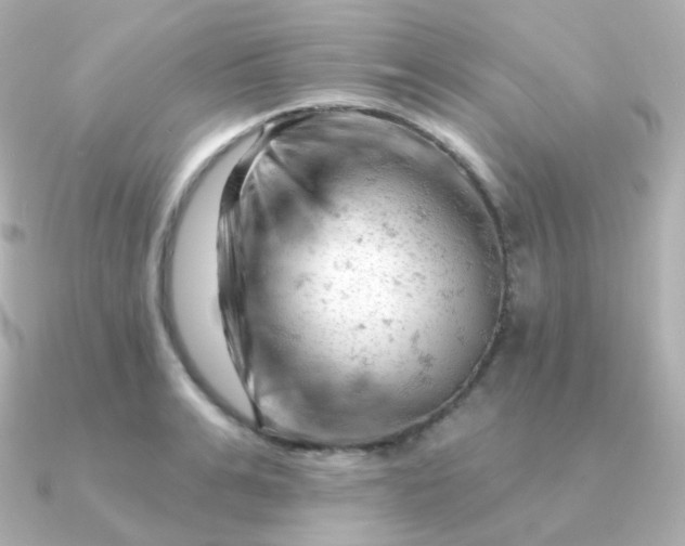 X0000090890991200708101359