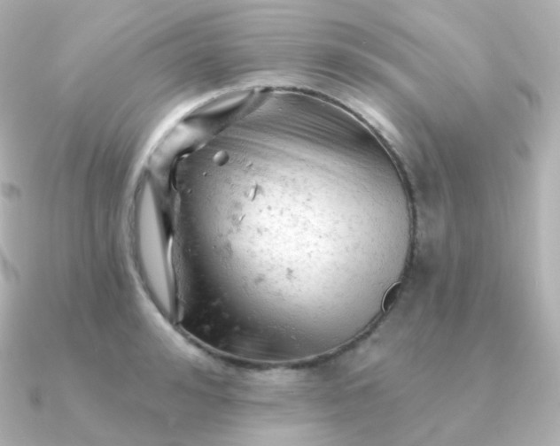 X0000090890992200708101359