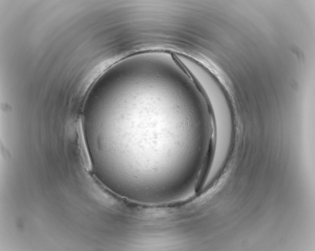 X0000090890993200708101359