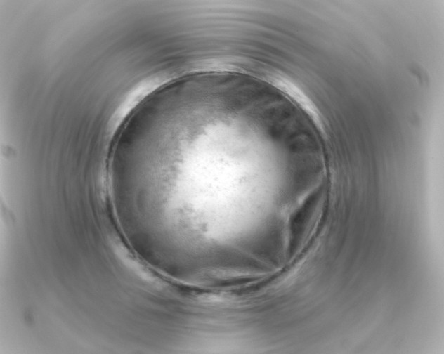 X0000090890994200708101359