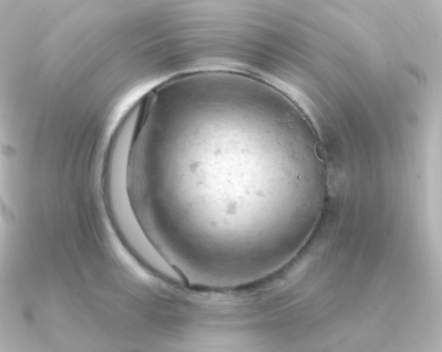 X0000090890995200708101359