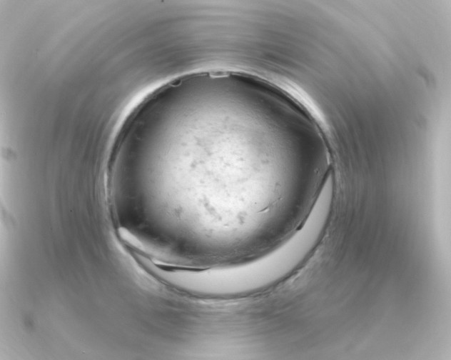 X0000090890996200708101359