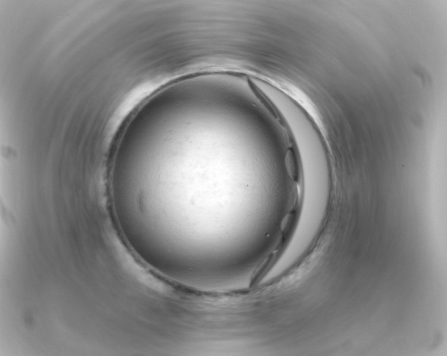 X0000090890997200708101359