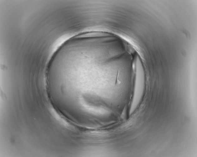 X0000090890998200708101359