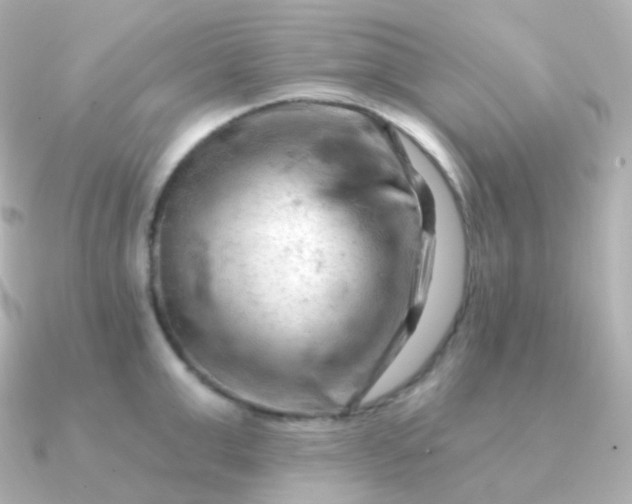 X0000090890999200708101359