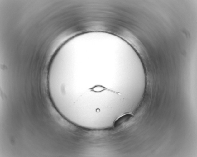 X0000090891000200708101359