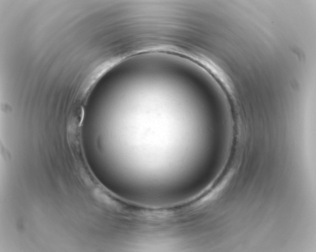 X0000090891001200708101359