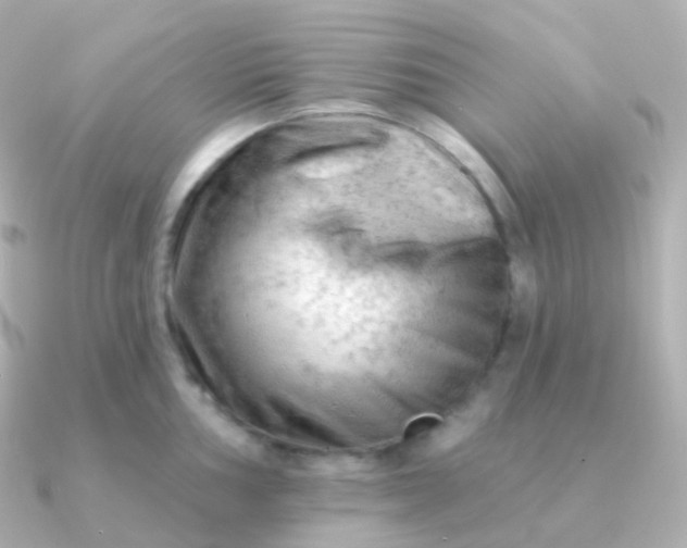 X0000090891002200708101359