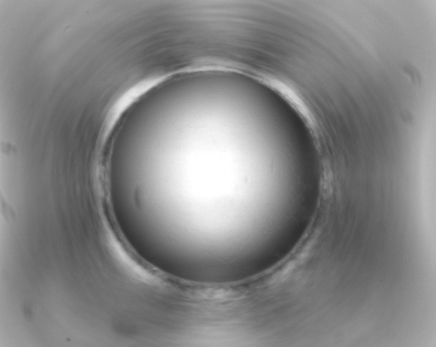 X0000090891003200708101359