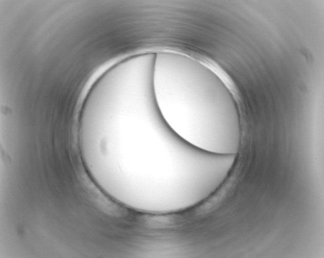 X0000090891004200708101359