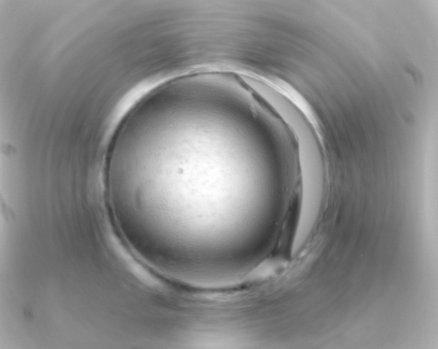 X0000090891005200708101359