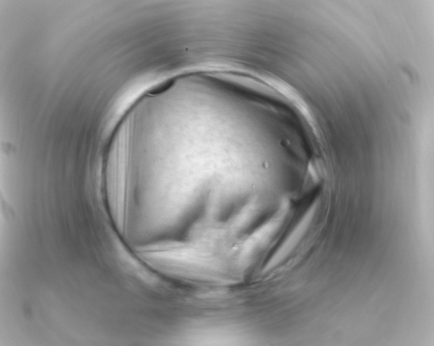 X0000090891006200708101359