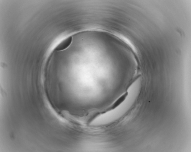 X0000090891007200708101359