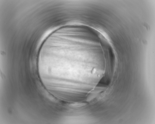 X0000090891008200708101359