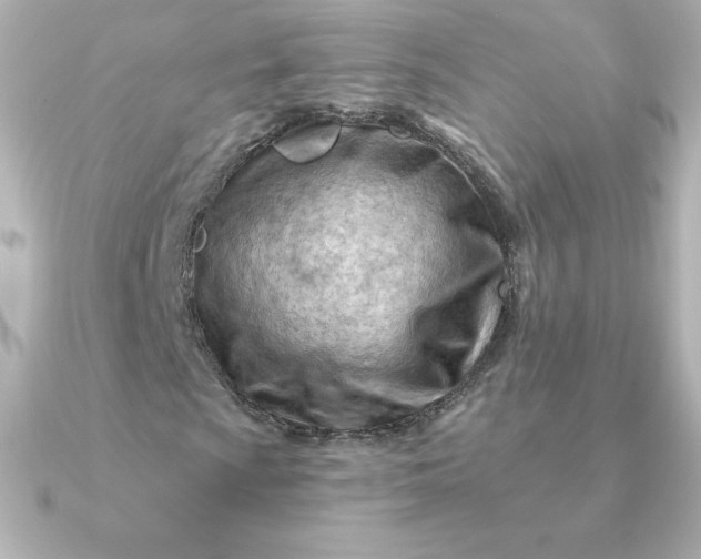 X0000090891009200708101358