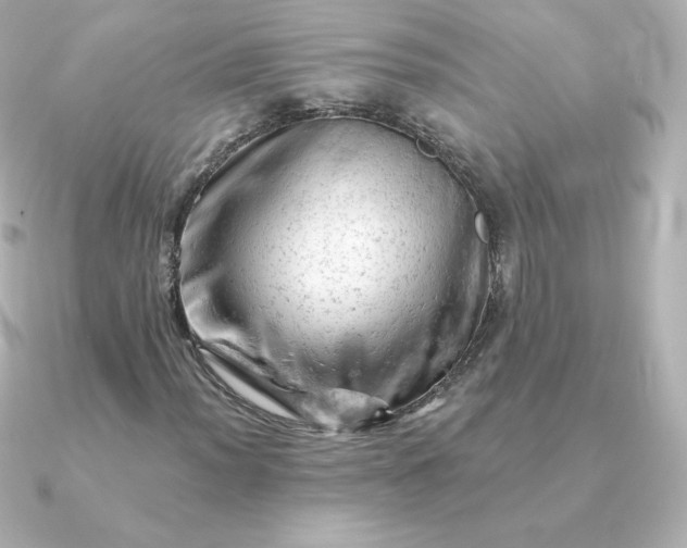 X0000090891012200708101358