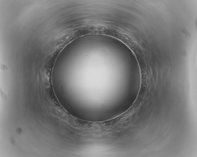 X0000090891013200708101358