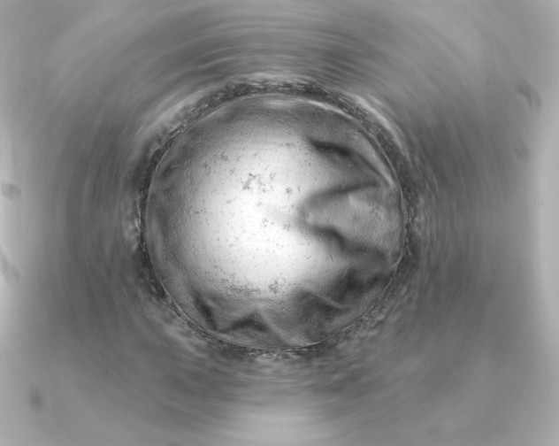 X0000090891015200708101358