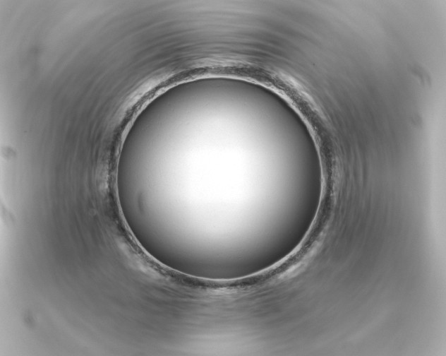 X0000090891017200708101358